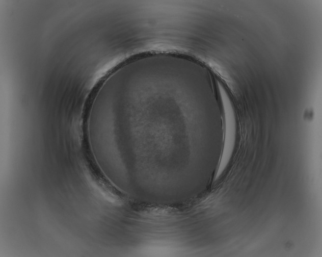 X0000090620488200707311247