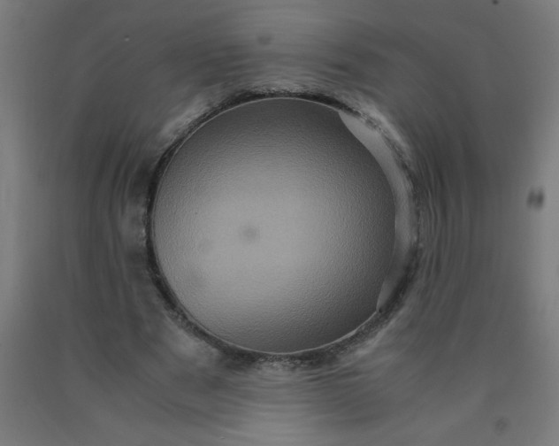 X0000090620489200707311247