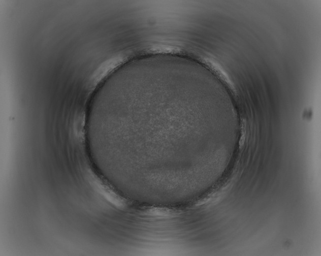 X0000090620490200707311247