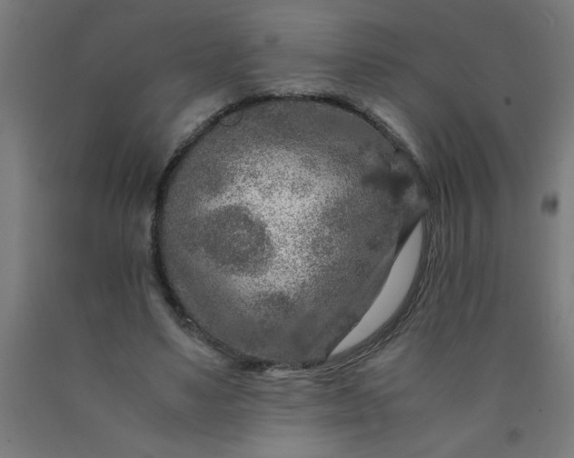 X0000090620491200707311247