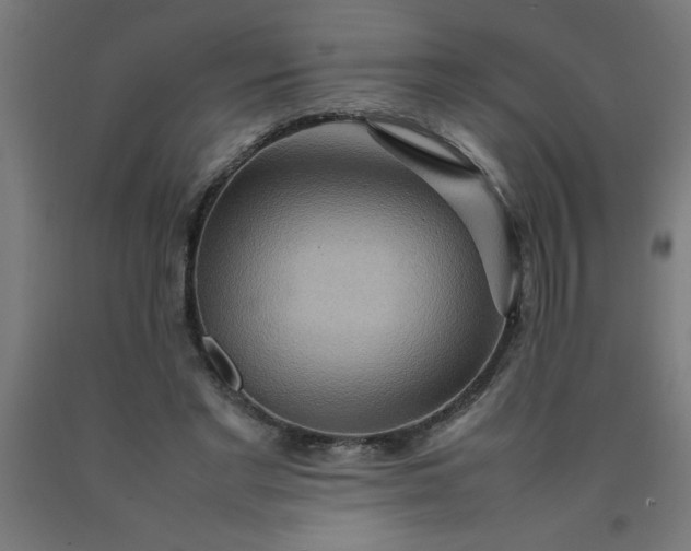 X0000090620493200707311247