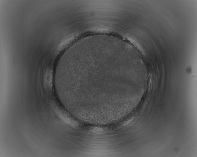 X0000090620494200707311247