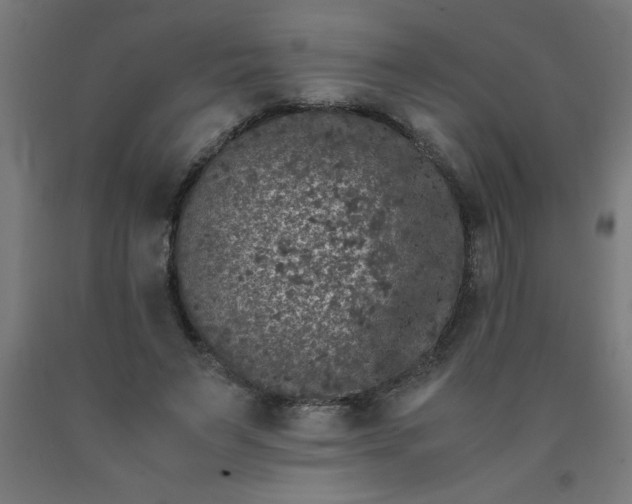 X0000090620495200707311247