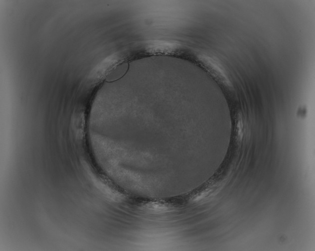 X0000090620498200707311247