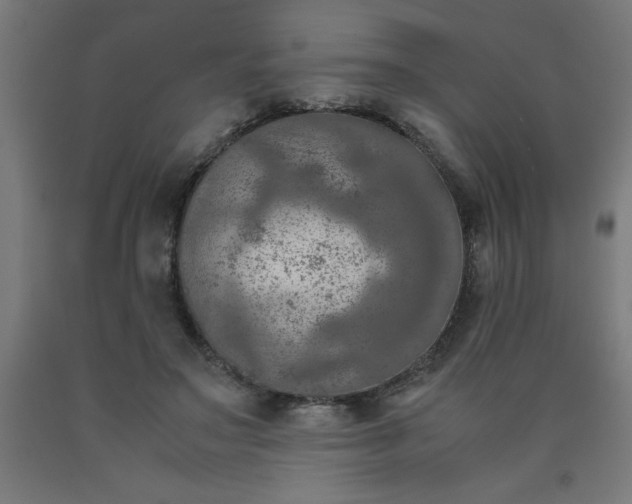 X0000090620499200707311247