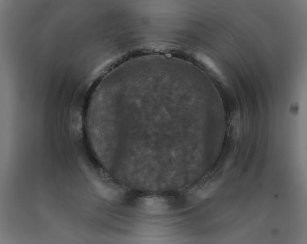 X0000090620500200707311247