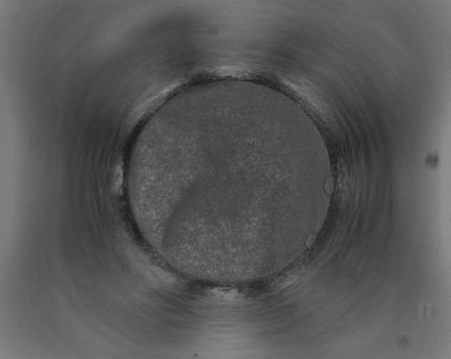 X0000090620502200707311247