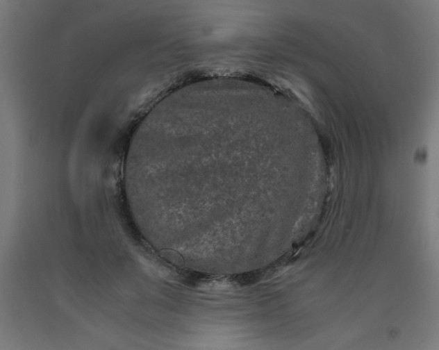 X0000090620503200707311247