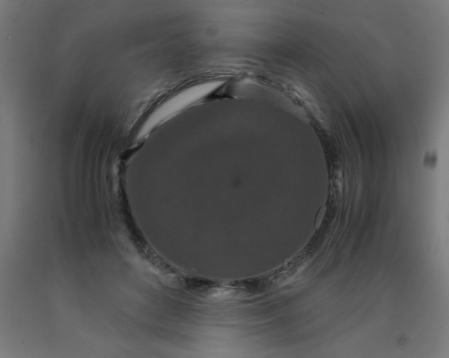 X0000090620504200707311247