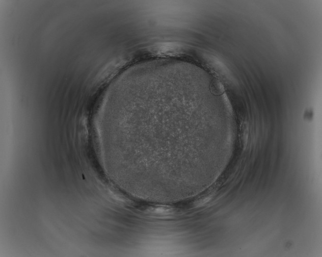 X0000090620506200707311247