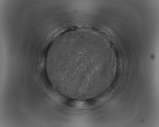 X0000090620507200707311247