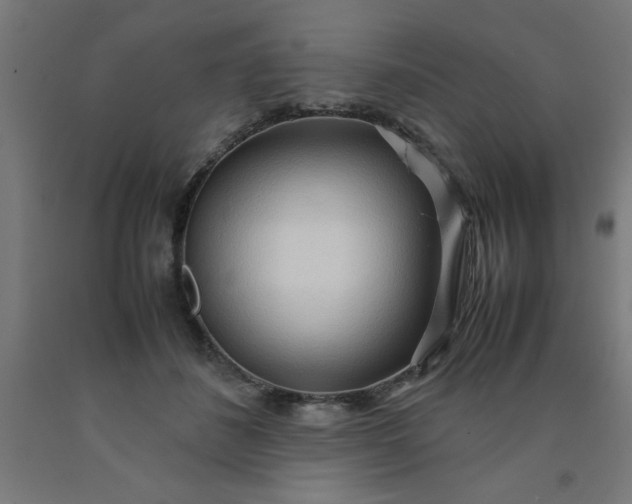 X0000090620508200707311247