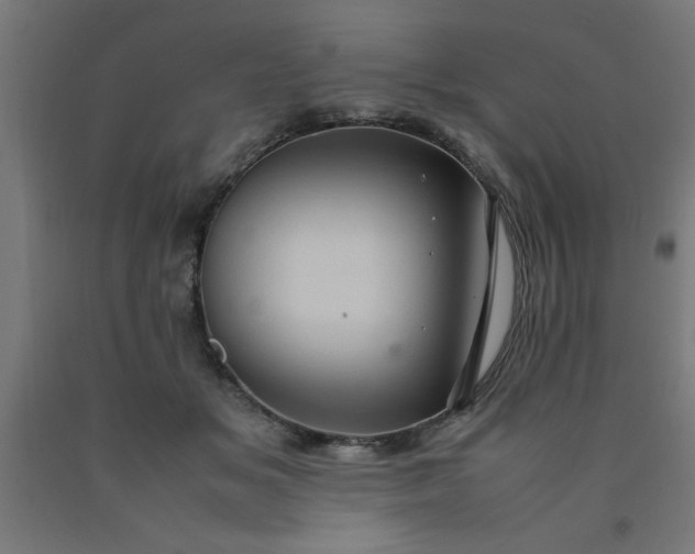 X0000090620509200707311247