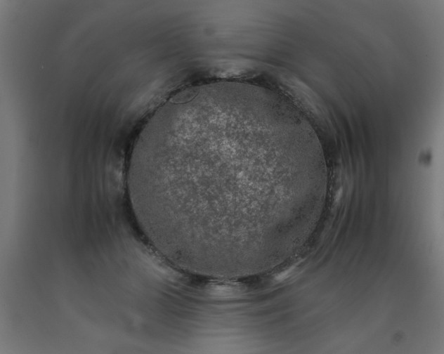 X0000090620510200707311247