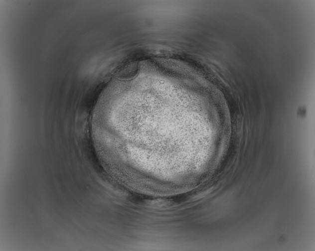 X0000090620511200707311247