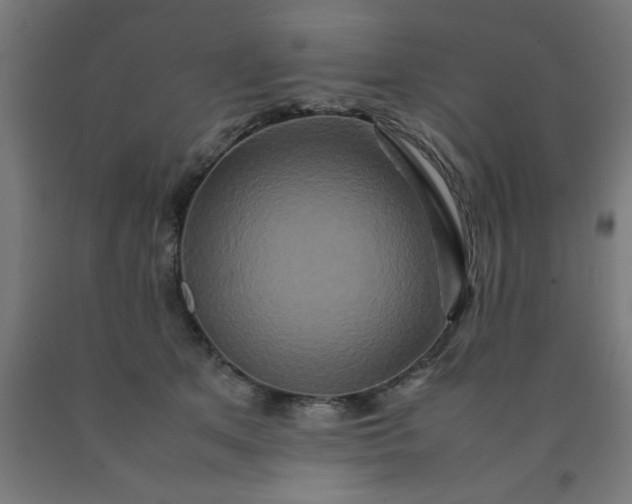 X0000090620513200707311247