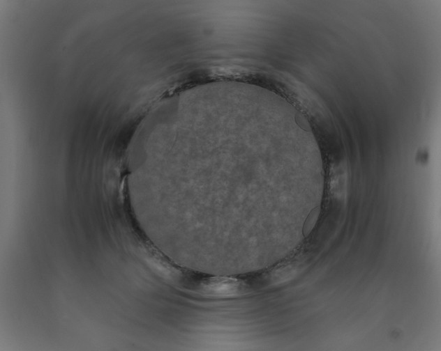 X0000090620514200707311247