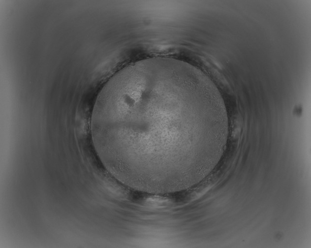 X0000090620515200707311247