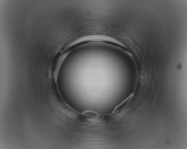 X0000090620516200707311247