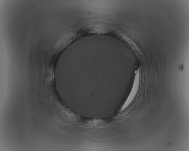 X0000090620517200707311247