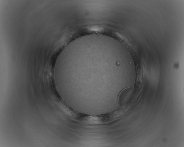 X0000090620518200707311247