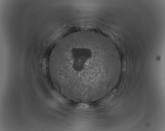 X0000090620519200707311247