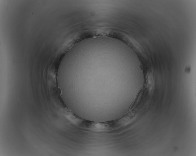 X0000090620522200707311247