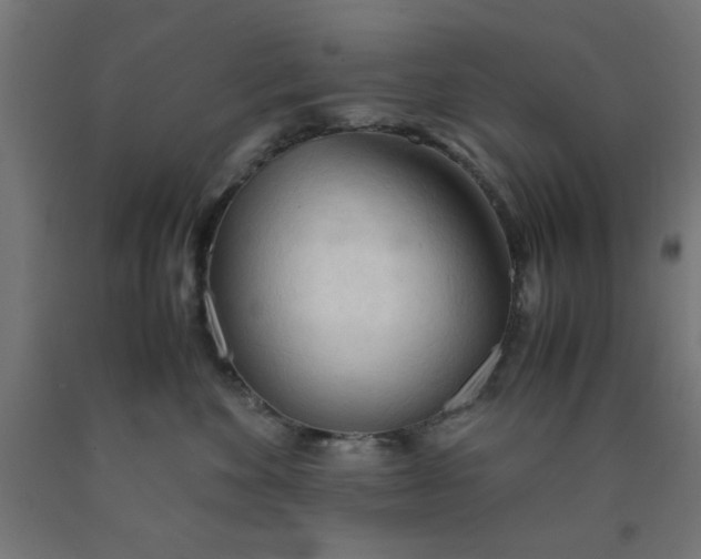 X0000090620524200707311246