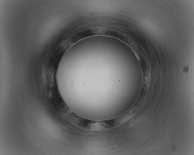 X0000090620525200707311246