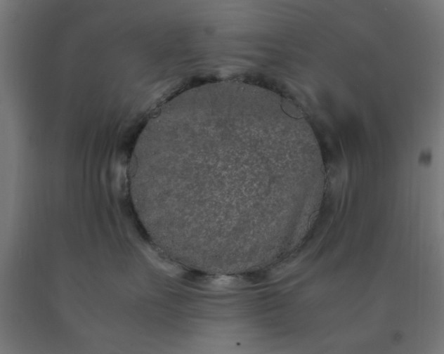 X0000090620527200707311246