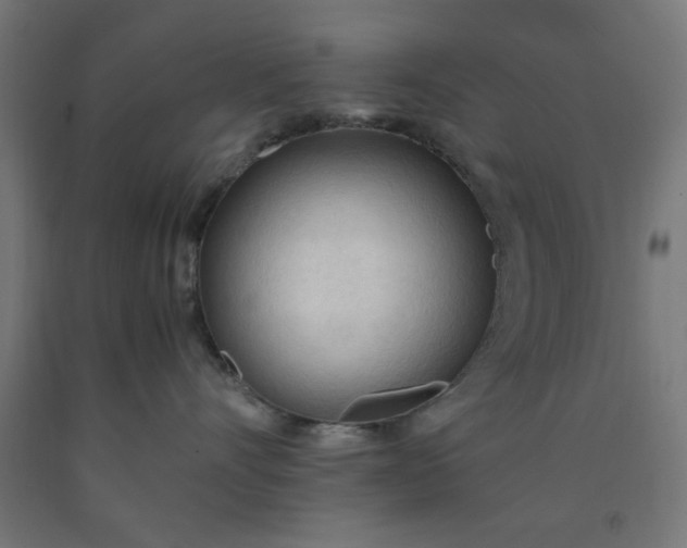 X0000090620528200707311246