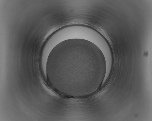 X0000090620530200707311246