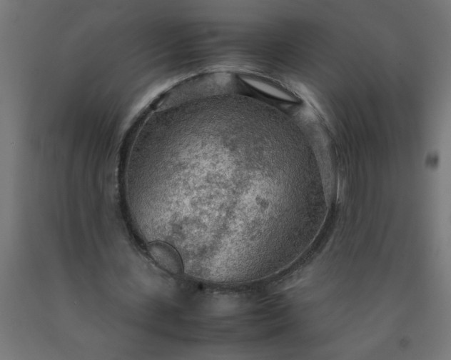 X0000090620531200707311246