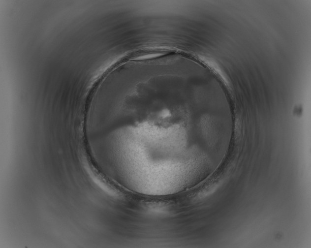 X0000090620533200707311246