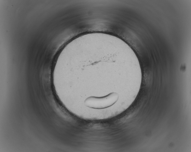 X0000090620534200707311246