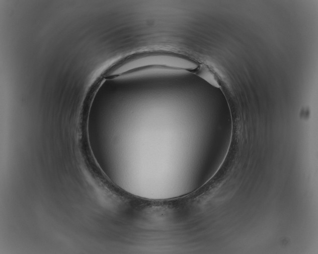X0000090620536200707311246