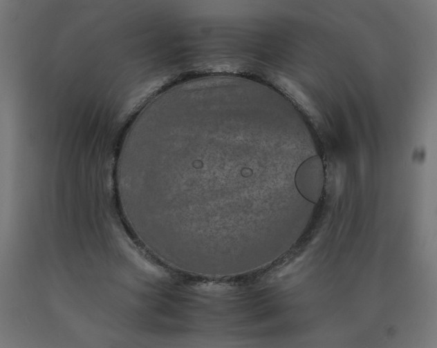 X0000090620537200707311246