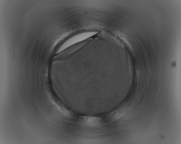 X0000090620539200707311246