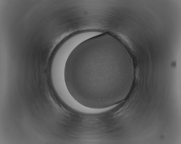 X0000090620540200707311246