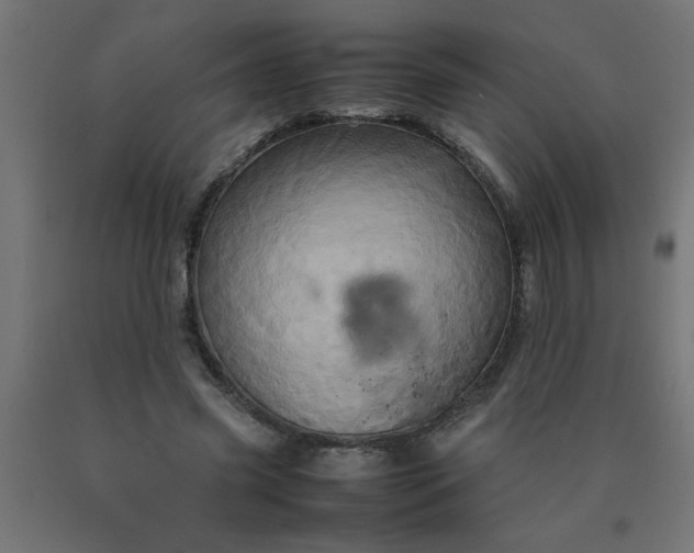 X0000090620541200707311246