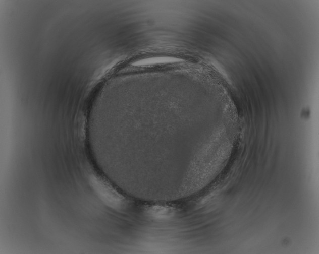 X0000090620542200707311246