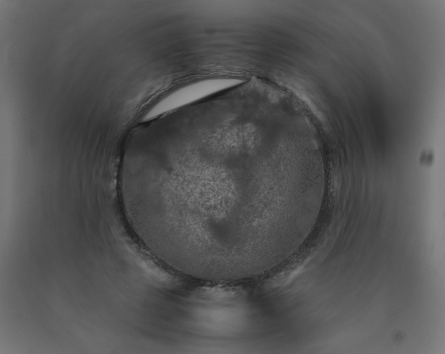 X0000090620545200707311246
