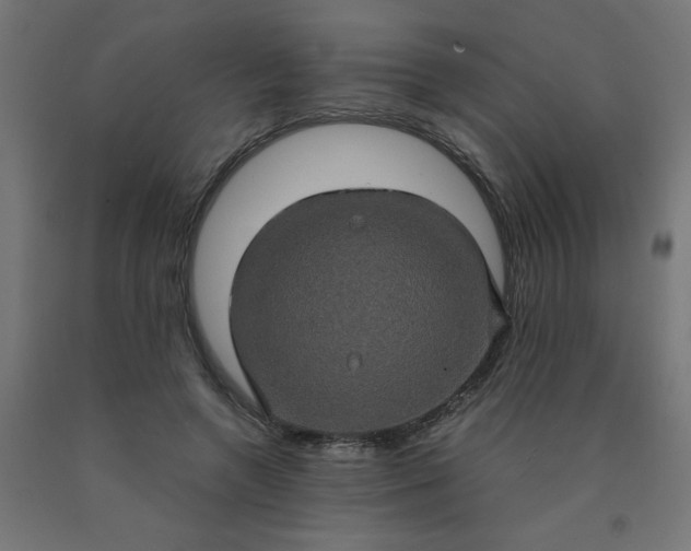 X0000090620546200707311246