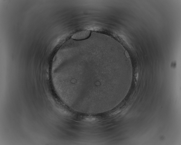 X0000090620547200707311246