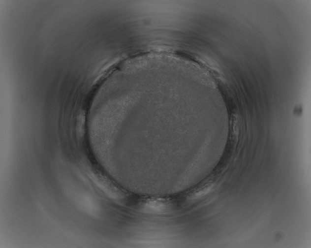 X0000090620550200707311246