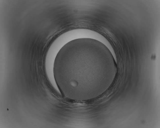 X0000090620552200707311246