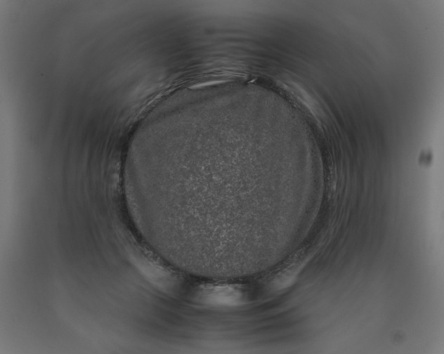 X0000090620553200707311246