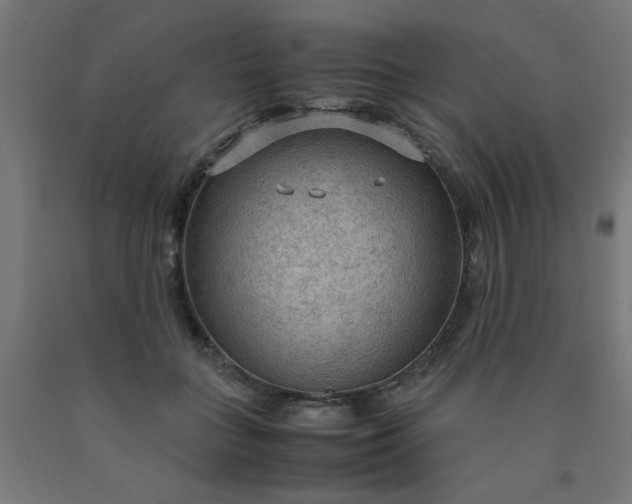 X0000090620555200707311246