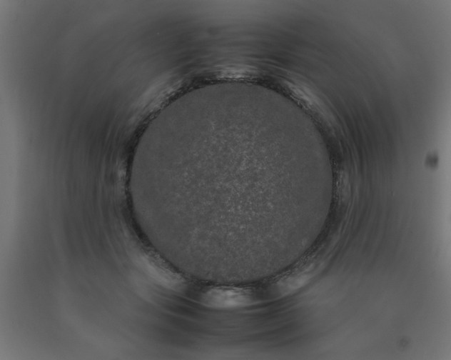 X0000090620557200707311246