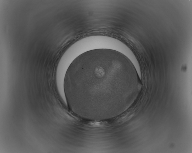 X0000090620558200707311246